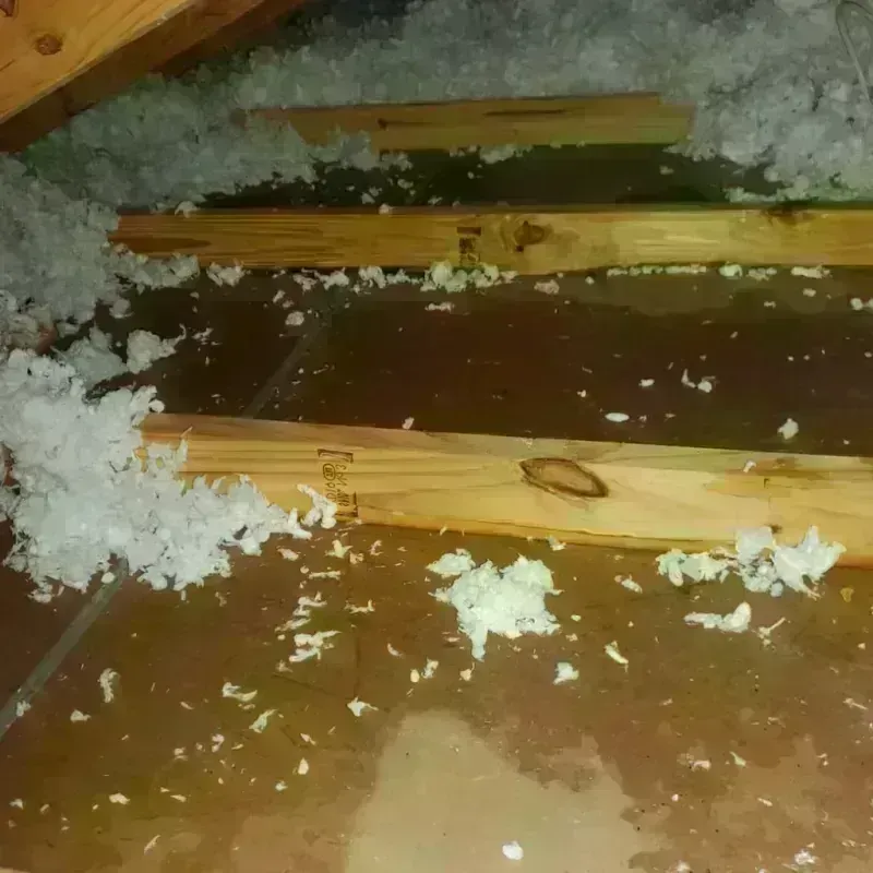 Attic Water Damage in South Lockport, NY